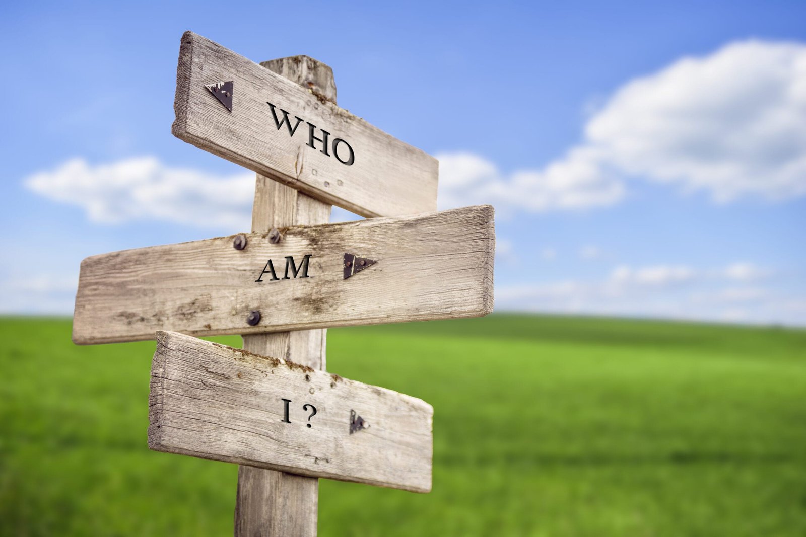 Who am i? text quote engraved on wooden signpost outdoors on green field with blue sky.
