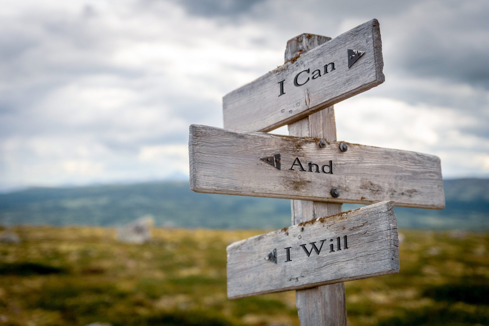 i can and i will text engraved on old wooden signpost outdoors in nature. Quotes, words and illustration concept.