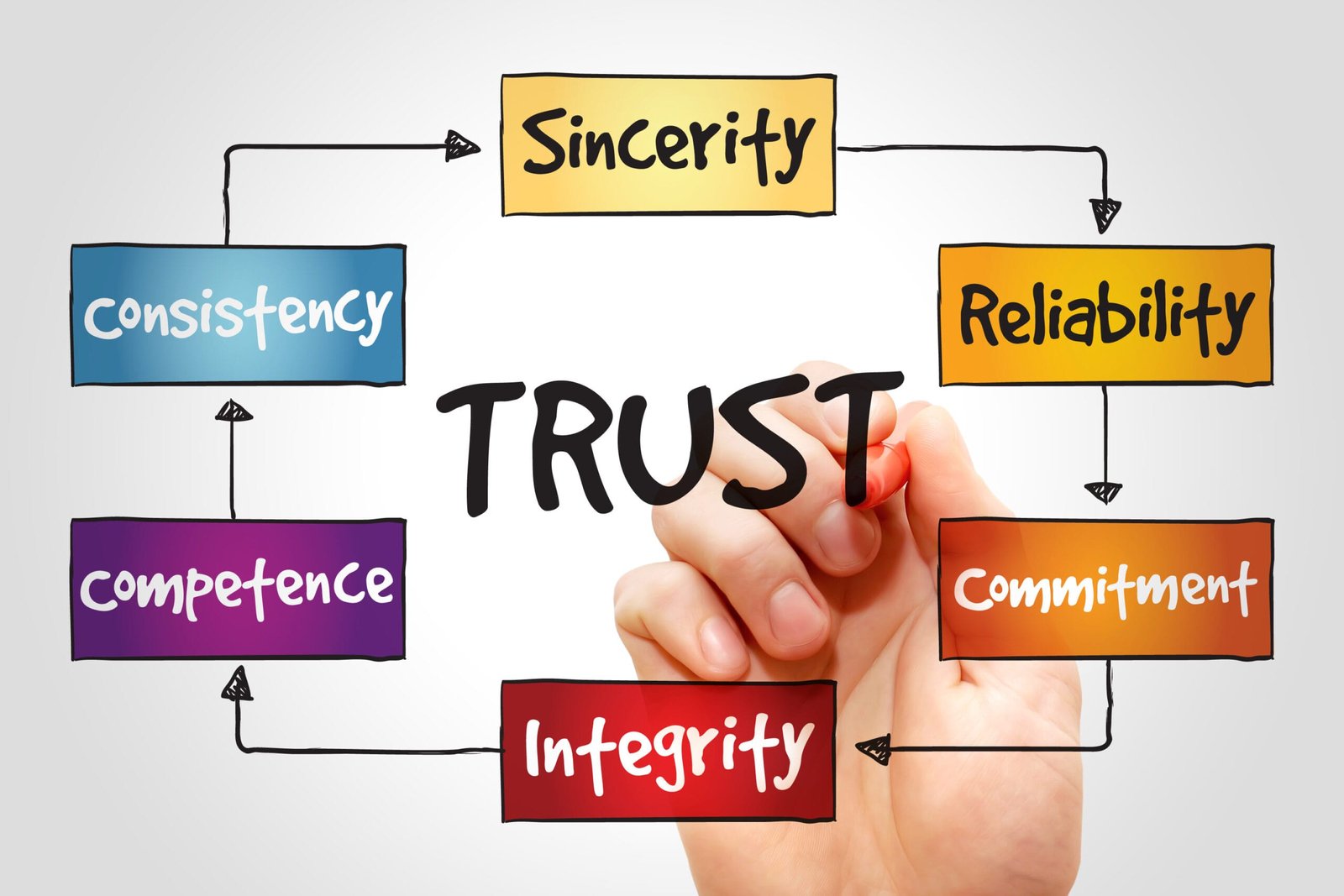 TRUST process, business concept